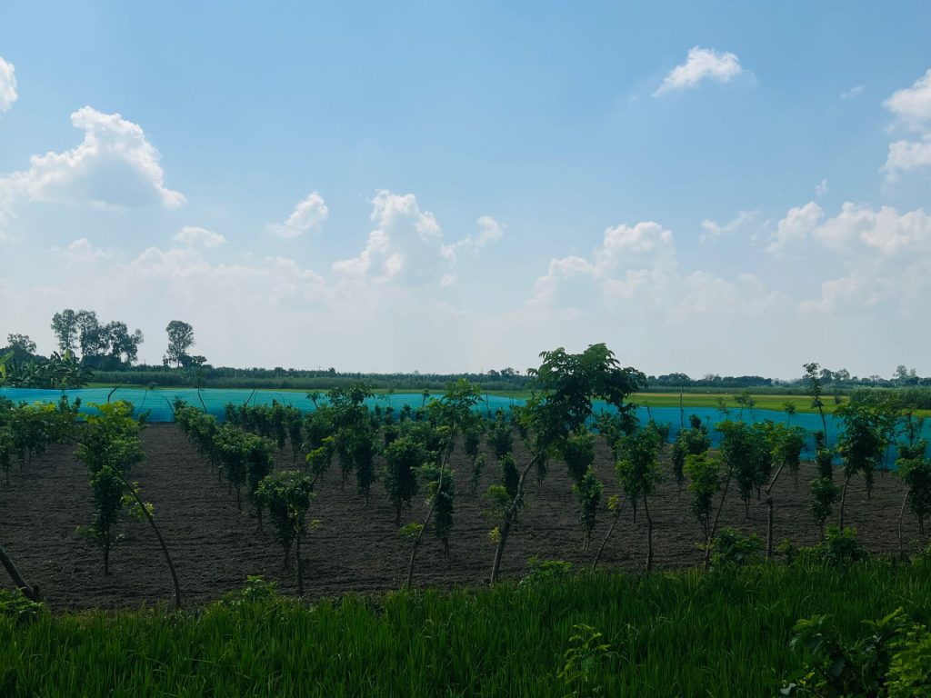 climate resilient communities